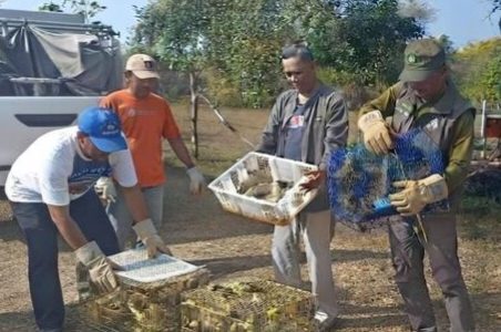 284 Burung Disembunyikan di Bagasi Bus, Karantina Bali Gagalkan Pengiriman Ilegal ke Jawa Tengah