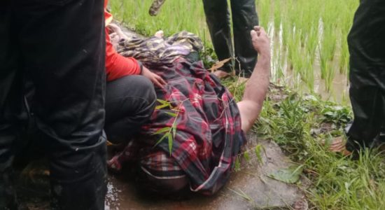 Terungkap! Identitas Mayat Mengapung di Danau Singkarak Akhirnya Diketahui, Ternyata Warga yang Hilang 4 Hari
