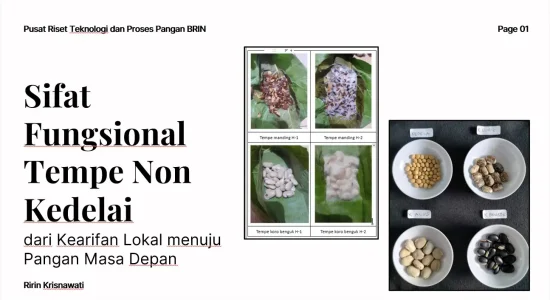 Bukan Cuma Kedelai, Tempe dari Kacang Lokal Disebut Bisa Jadi Solusi Pangan Masa Depan Indonesia