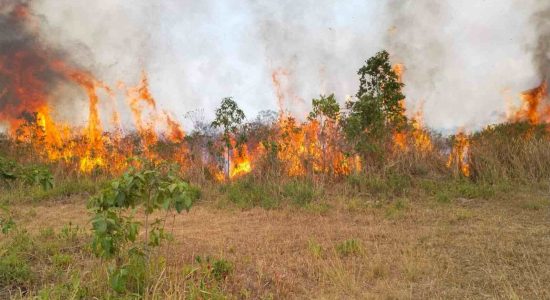 Karhutla Meluas di Sejumlah Daerah, Ratusan Hektare Lahan Terbakar