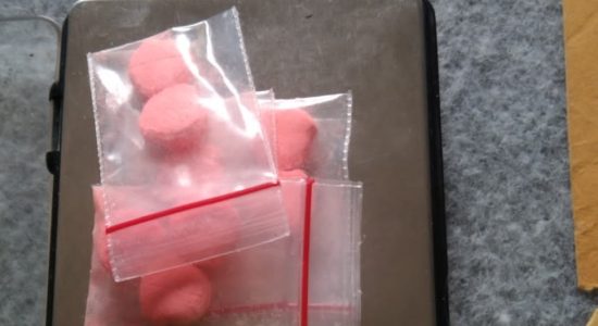 Gerebek THM di Balige, Polres Toba Amankan 15 Orang dan Sita 8 Pil Ekstasi