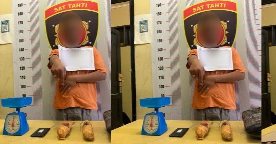 Nyamar Sebagai Pembeli, Polres Toba Tangkap Bandar dan Pengedar Ganja, BB 1,4 Kg