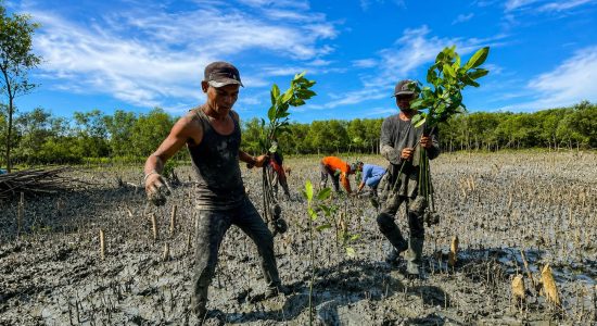 Ketika Rasa Takut Membungkam Kebenaran