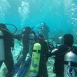 Laut Tual Punya Banyak Spot Indah Bagi Wisata Selam