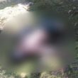 Purnawirawan TNI Ditemukan Tewas di Perkebunan Sawit