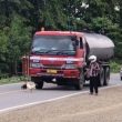 Cuek Truk Melintas, Ayam Jago Santai Duel di Tengah Jalan