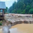Banjir Bandang Menyapu Puluhan Hektar Lahan Padi