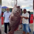 Rahman Kaget Dapat Ikan Kerapu Raksasa saat Memancing