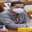 Mendag Lutfi Minta Maaf Soal Bipang Ambawang yang Disebut Presiden Jokowi