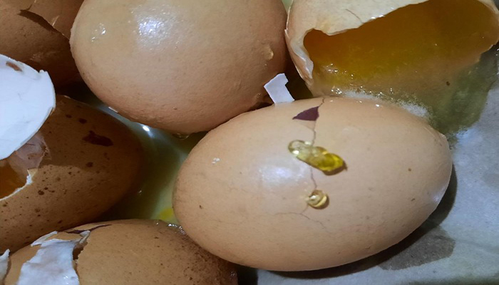 Telur ayam yang diduga palsu/Foto: Istimewa