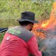 Karhutla di Merek, 25 Hektare Lahan Terbakar