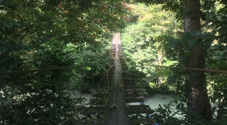 Hutan Itu Indonesia (HII)