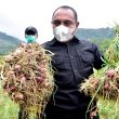 1 Hektar Lahan Di Desa Liang Muda Disiapkan Untuk Program PKA