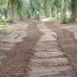 Pengerasan Jalan Desa Rumah Sumbul Dibahas Dalam Musrembang