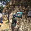 Pertama Kali di Dunia, PFI Medan Gelar Pameran Foto di Tebing Batu