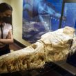 Ini Penampakan Fosil Ikan Paus Berusia 36 Juta Tahun yang Ditemukan