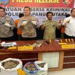 Terlibat Perdagangan Satwa Dilindungi, Oknum Guru Honorer dan Warga Aceh Diamankan Polres Taput