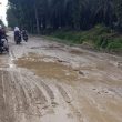 Jalan Lintas Asahan-Simalungun di Mandoge Rusak Parah, Kadis PUPR Sumut Janji Perbaikan