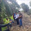 Bukan Pengrusakan Hutan, Kuasa Hukum Apresiasi Sikap Kepala Balai Pemantapan Kawasan Hutan
