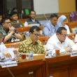 Kemenpora Dukung Komisi III DPR RI Menaturalisasi 3 Pemain Asing untuk Perkuat Timnas Indonesia