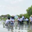 Tanam Ribuan Mangrove, Acer Indonesia Wujudkan Komitmen Keberlanjutan untuk Masa Depan
