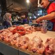 Harga Daging Ayam di Medan Diprediksi Turun hingga Bulan Depan