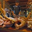Dinilai Janggal, KPPU Diminta Selidiki Rantai Pasok Daging Ayam di Medan