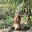 HSI Dorong Kebijakan Pro Petani untuk Hadapi Tantangan Ketahanan Pangan