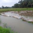 Petani Silakkidir Terancam Gagal Panen Akibat Irigasi Jebol