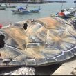 Patung Penyu di Taman Gado Bangkong Sukabumi Viral, Ini Klarifikasi Pemda dan Kontraktor