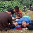 Warga Tanah Bara Ditemukan Meninggal di Kebun Sawit Aceh Singkil