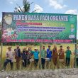 Panen Raya Padi Organik Serdang Bedagai Jadi Bukti Nyata Pertanian Berkelanjutan Berdaya Saing