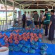 HIPKA Sumut Gelar Qurban di Medan, Perkuat Solidaritas dan Kepedulian Sosial di Idul Adha 1447 H