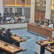 DPR Bongkar Paradoks Lobster Indonesia, Potensi Besar tapi Ratusan Juta Benih Diduga Bocor ke Pasar Ilegal