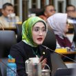 DPR Desak Pemerintah Percepat Penanganan Karhutla dan Lindungi Warga dari Asap