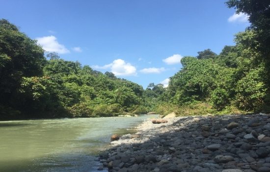 Ecotourism atau ekowisata sedang naik daun