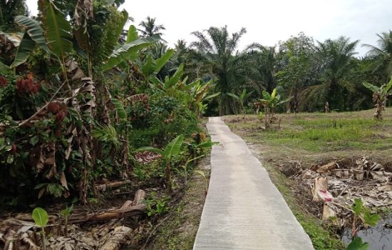 Infrastuktur Jalan Desa yang dibiayai dengan Dana Desa Tanah Gara Hulu