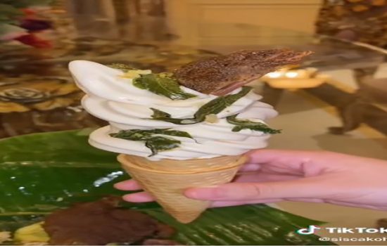 Es krim nasi Padang (TikTok @siscakohl)